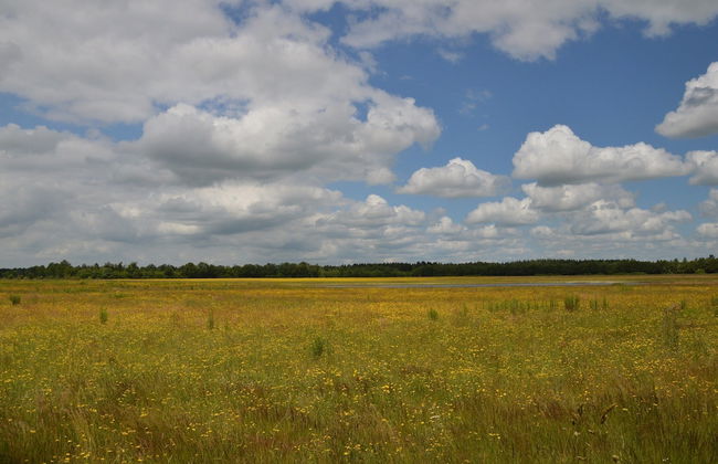 Mansion in Nijensleek With Sauna & Garden - Foto 37