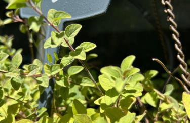 Artistic Retreat, King Suite with Private Balcony! - Foto 70