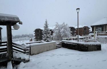 Le LODGE Les Esserts 1100 Morillon - Foto 20