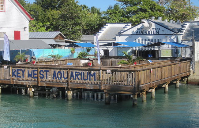 Key West Aquarium - Foto 3