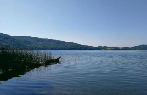Wandertraum Johann - FeWo Eifel - Foto 24