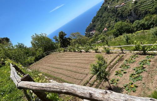 Agriturismo Orrido di Pino - Foto 25