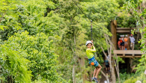 Descente en tyrolienne