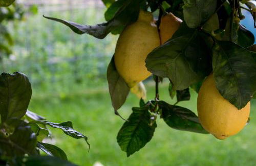 Casa del Sole - Foto 1