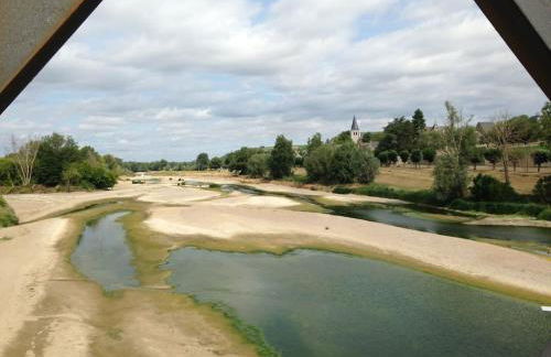 La vigne et la Loire - Foto 10