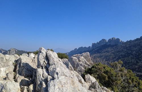 le clos du ventoux - Photo 34