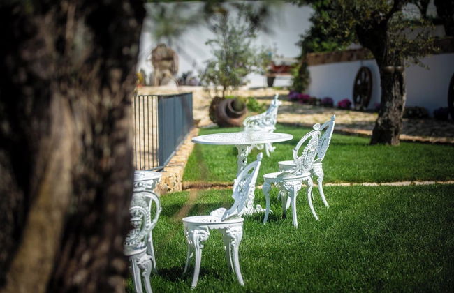 Reinado de Dom Dinis - Foto 50