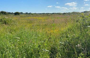 Charming Countryside Retreat Fast Wifi - Photo 6