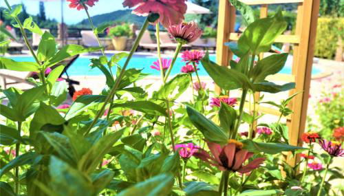 Harvest Moon Apartments - Foto 5, Garden