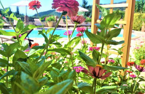 Harvest Moon Apartments - Foto 5