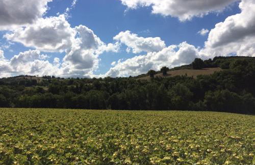 Palazzetto Bentivoglio - Foto 19