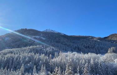 LE DOUX MELEZE - Photo 23