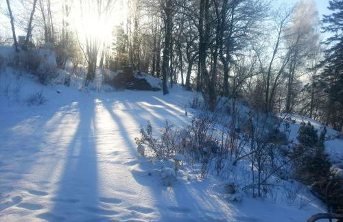 Holiday Home mit einer umwerfenden Panoramaaussicht by Interhome - Foto 39