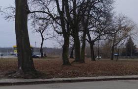 apartament - Foto 15