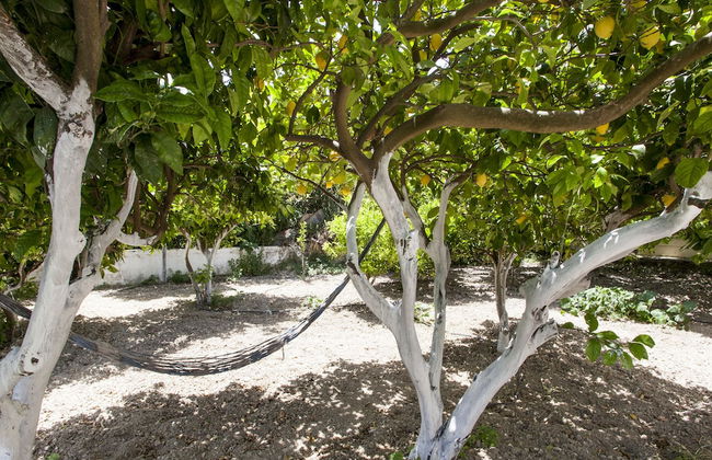 Harmony Country House-Live in the Nature - Foto 41