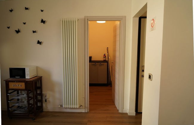 Cleo Viola - Foto 20