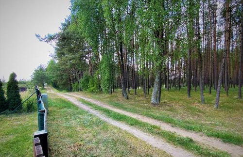 Leśne Zacisze domki letniskowe - Foto 41