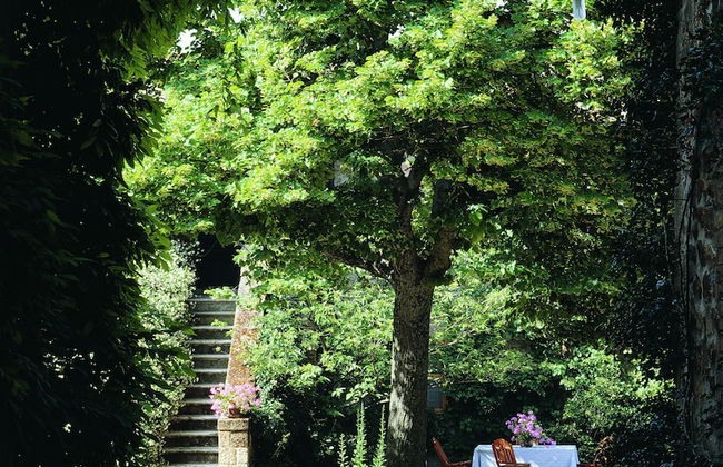 Azienda Agricola Chiarentana - Foto 49