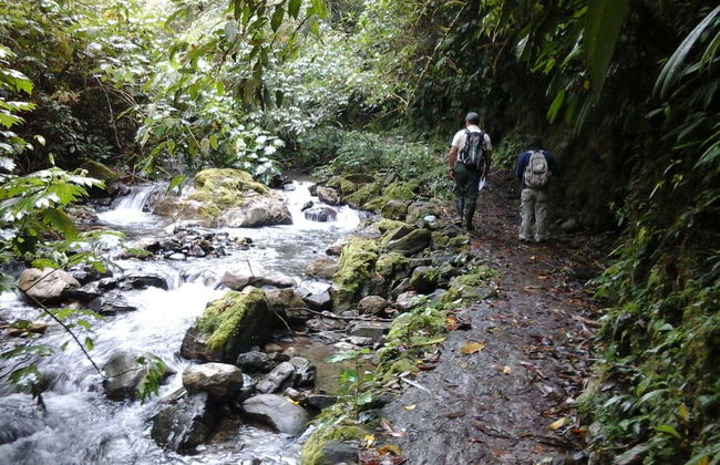 Escursione a Gloriapata - Foto 4
