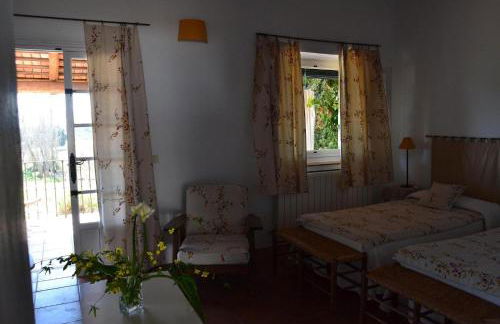 Las Navezuelas - Photo 29