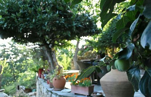 Stonehouse - The Secret Place - Foto 43