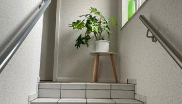 Ferienwohnung grün - Photo 2