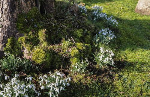 Rose Cottage - Foto 26