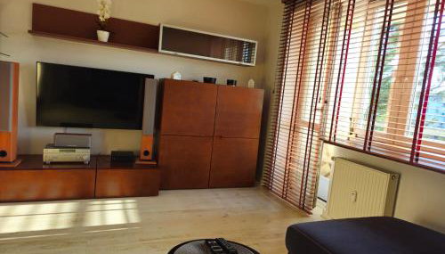 Harmony Płock - Foto 2