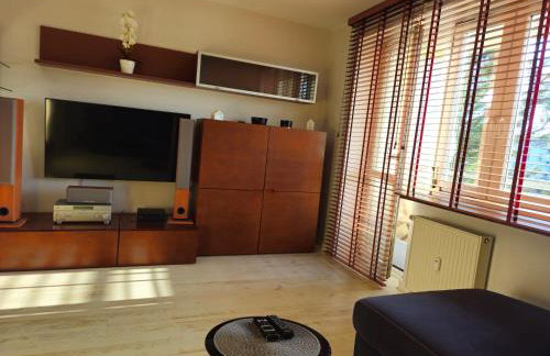 Harmony Płock - Foto 2