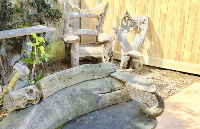 The Oasis by the Sea and Forest - Foto 20