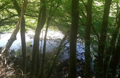 Apartment in Zendscheid mit Offenem Kamin by Interhome - Foto 35