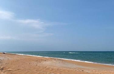 Ormond Beach, fun & loving sun! - Photo 38