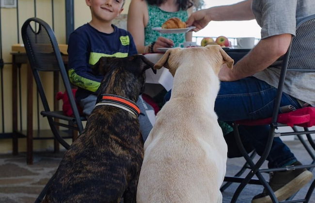 La Finestra sul Colle - Foto 56