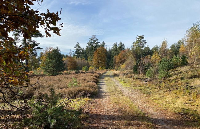 Cottage in Leenderbos Near Nature Reserve - Photo 19