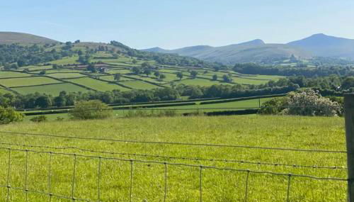 Mountain View - Photo 4