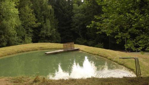 Holiday Home Quellenhof Kollnburg by Interhome - Foto 5