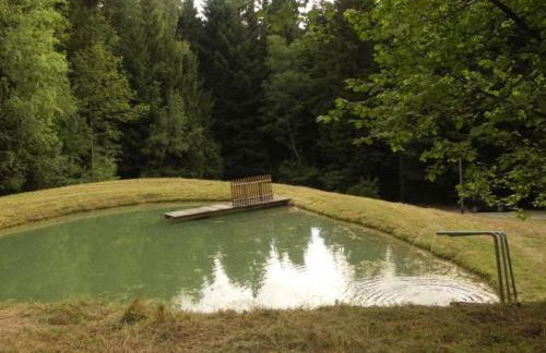 Holiday Home Quellenhof Kollnburg by Interhome - Foto 5