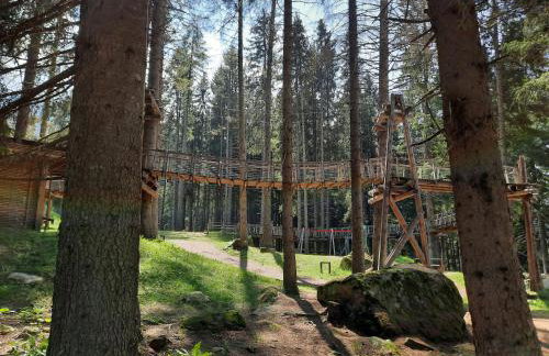 Vetrate sul bosco - Foto 28