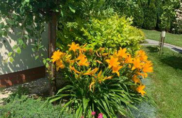 Luxury Villa - JessApart Walendia - Foto 50