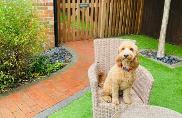 Little Woodside a beautiful New Forest self contained private luxury annexe - Foto 56