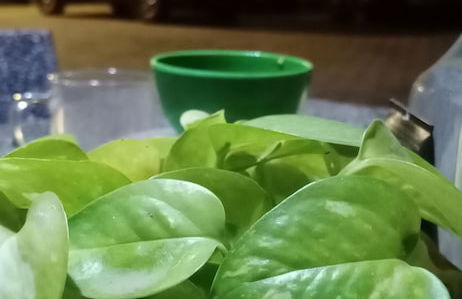 MN Apartment - Foto 51