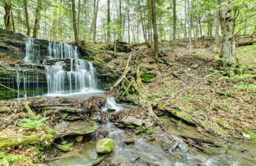 Hike and Baseball Near Cooperstown Home on 30 Acres - Foto 38