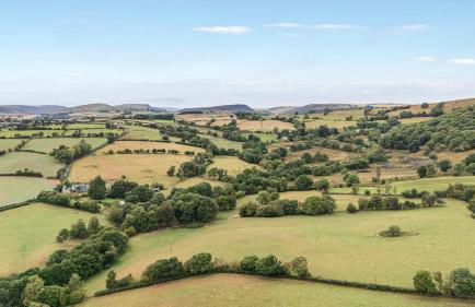 Hillside View - Foto 34