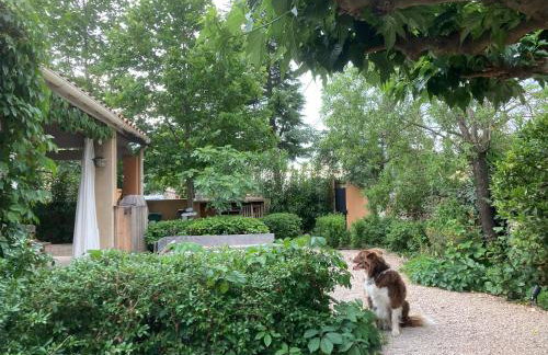 Le Jardin des Copains - Photo 51