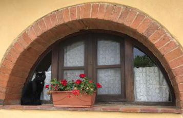 Agriturismo La Posta Reale - Foto 101