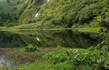 Casas da Quinta - Foto 34