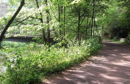 Ferienwohnungen "am Fürstenweg" - Foto 12