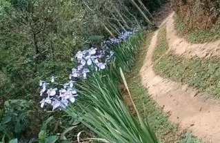 Recanto córrego frio - Foto 12