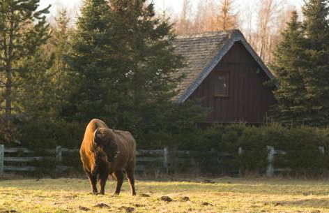 Uroczysko Teremiski - Foto 24