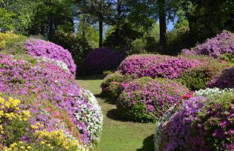 AnMa Cottages Sole Lago - Foto 50